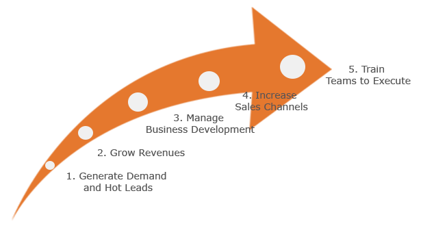 Execute_Revenue_Growth_img